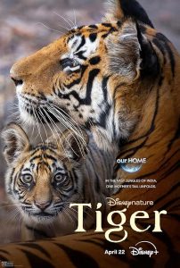 Tigres.2024.DOC.VOSTFR.1080p.WEB.H264-FW – 4.8 GB