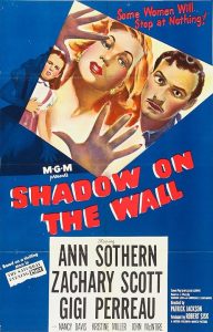 Shadow.on.the.Wall.1950.1080p.HMAX.WEB-DL.DDP2.0.H.264-CHORTLE – 6.4 GB
