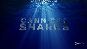 Cannibal.Sharks.2019.1080p.WEB.H264-SHIIIT – 2.3 GB
