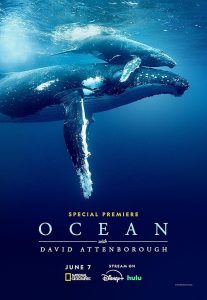 Ocean.With.David.Attenborough.2025.1080p.Blu-ray.Remux.AVC.DTS-HD.MA.5.1-HDT – 20.7 GB