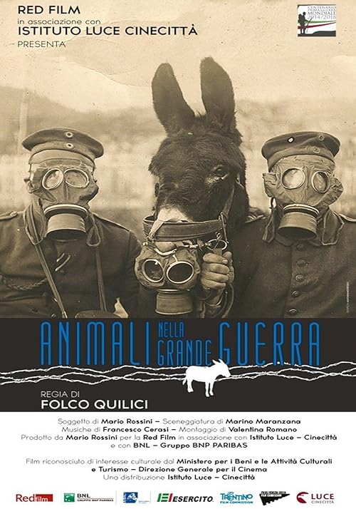 Animali nella Grande Guerra