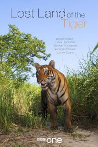 Lost.Land.of.the.Tiger.2010.S01.720p.BluRay.x264-DON – 10.4 GB