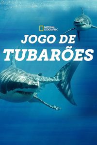 Game.of.Sharks.2022.720p.WEB.H264-AFO – 1.3 GB