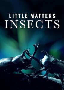 Little.Matters.Insects.2014.720p.WEB.H264-SHIIIT – 1.3 GB