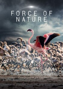 Force.Of.Nature.S01.720p.AMZN.WEB-DL.DDP2.0.H.264-RAWR – 9.9 GB