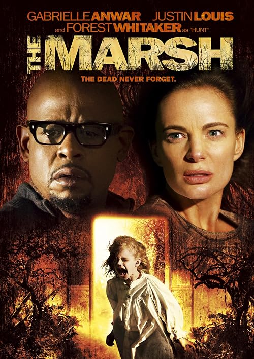 The Marsh