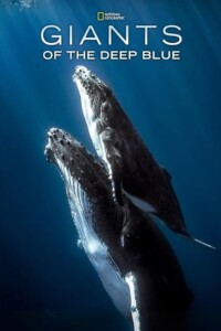 Giants.of.the.Deep.Blue.2018.1080p.WEB.H264-SHIIIT – 2.5 GB