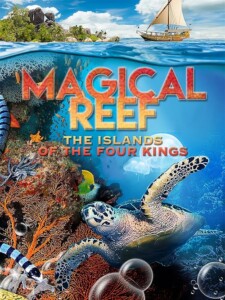 Magical.Reef.The.Island.of.the.Four.Kings.2020.1080p.WEB.H264-SHIIIT – 3.1 GB