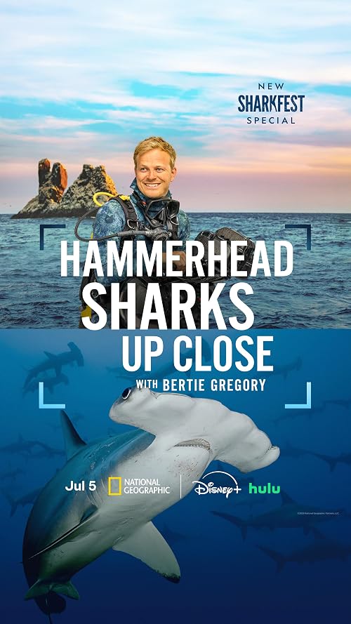 Hammerhead Sharks Up Close with Bertie Gregory