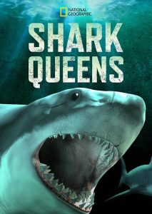 Shark.Queens.2022.720p.WEB.H264-SHIIIT – 1.3 GB