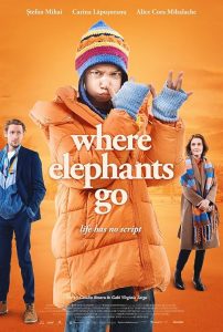 Unde.merg.elefantii.2024.1080p.VOYO.WEB-DL.AAC2.0.H.264-playWEB – 3.7 GB