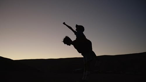 Estrellas del desierto