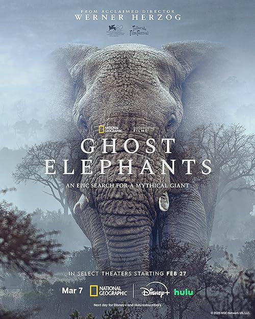 Ghost Elephants