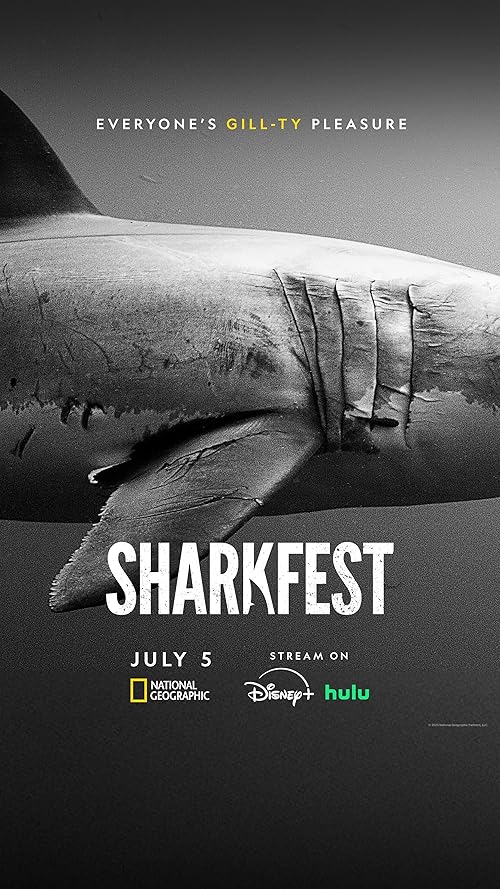 Sharks: Reef Rivals