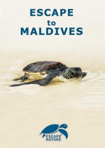 Escape.to.Maldives.2015.1080p.WEB.H264-SHIIIT – 2.9 GB