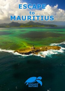 Escape.to.Mauritius.2009.1080p.WEB.H264-SHIIIT – 2.6 GB