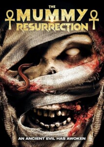 The.Mummy.Resurrection.2022.1080p.WEB.H264-AMORT – 4.3 GB