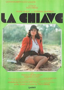 La.chiave.AKA.The.Key.1983.2160p.UHD.BluRay.DTS-HD.MA.2.0.HDR10.x265-ParkHD – 18.7 GB