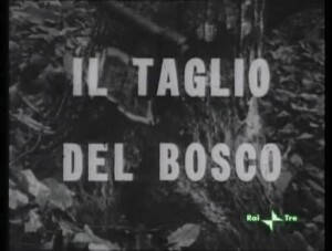 The.Felling.of.the.Forest.1963.1080p.RAI.WEB-DL.AAC2.0.H.264-Phallus – 2.0 GB