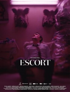 Escort.2023.1080p.Blu-ray.Remux.AVC.DTS-HD.MA.5.1-HDT – 16.8 GB