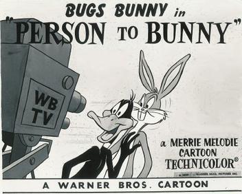 Person to Bunny
