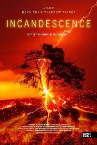 Incandescence.2024.2160p.CRAV.WEB-DL.DDP5.1.H.265-Kitsune – 9.8 GB
