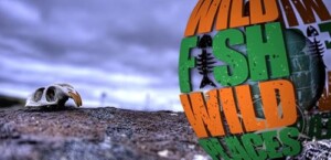 Wild.Fish.Wild.Places.S01.720p.TVNZ.WEB-DL.AAC2.0.H.264 – 4.7 GB