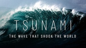 Tsunami.The.Wave.That.Shook.the.World.2024.1080p.WEB.h264-CODSWALLOP – 3.4 GB