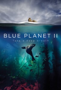 Blue.Planet.II.S01E05.Green.Seas.1080p.AMZN.WEB-DL.DDP5.1.H.264-NTb – 5.4 GB