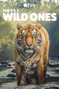 The.Wild.Ones.S01.720p.PLUTO.WEB-DL.AAC2.0.H.264 – 7.5 GB