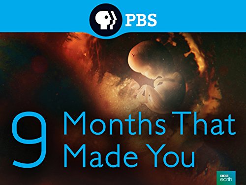 9 Months That Made You