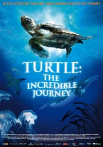 Turtle.The.Incredible.Journey.2009.720p.Blu-ray.DTS.x264-CtrlHD – 4.4 GB