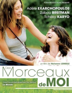 Des.morceaux.de.moi.2013.1080p.BluRay.DD+5.1.x264-SbR – 13.6 GB