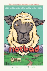 NotBad.2013.1080p.Blu-ray.Remux.AVC.DTS-HD.MA.5.1-KRaLiMaRKo – 6.1 GB