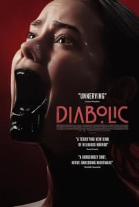 Diabolic.2025.1080p.BluRay.H264-VALUE – 26.9 GB