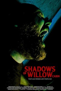 Shadows.of.Willow.Cabin.2025.720p.AMZN.WEB-DL.DD+5.1.H.264-playWEB – 3.3 GB