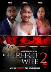 The.Perfect.Wife.2.2022.1080p.PCOK.WEB-DL.AAC.2.0.H.264-OnlyWeb – 4.9 GB