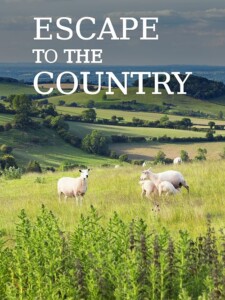 Escape.to.the.Country.2002.S24.(1080p.AMZN.WEB-DL.H264.SDR.DDP.2.0.English.-.HONE) – 151.5 GB