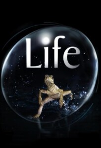 Life.UK.S01.1080p.BluRay.x264-NODLABS – 39.7 GB