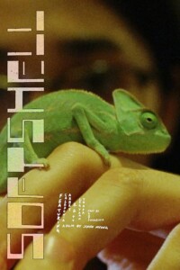 Softshell.2024.1080p.Blu-ray.Remux.AVC.DD.2.0-HDT – 17.6 GB
