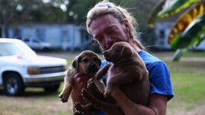 The.Shelter.Animal.SOS.S06.1080p.RTE.WEB-DL.AAC2.0.H.264-DoRN – 6.1 GB