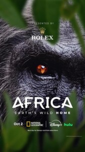 Africa.Earths.Wild.Home.S01.1080p.DSNP.WEB-DL.DDP5.1.H.264-NTb – 15.7 GB