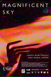 Magnificent.Sky.2023.1080p.WEB-DL.AAC2.0.x264-ZTR – 2.7 GB