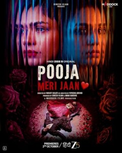 Pooja.Meri.Jaan.2026.1080p.ZEE5.WEB-DL.DDP5.1.Atmos.H.264-N0Mi – 1.6 GB